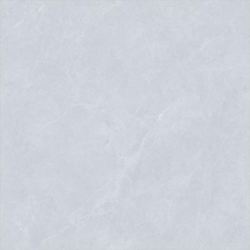 ZY808P-_02
