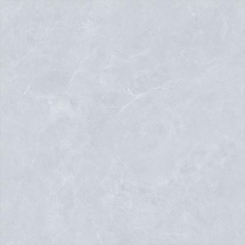 ZY808P-_03