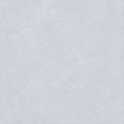 ZY808P-_04